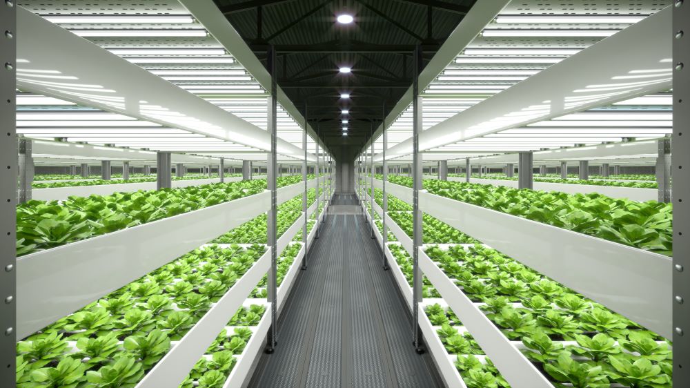 Benefits of LED Grow Lights for Urban Farming
