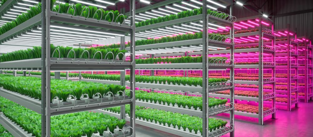 How LED Lighting is Fueling the Rise of Energy Efficient Grow Lights